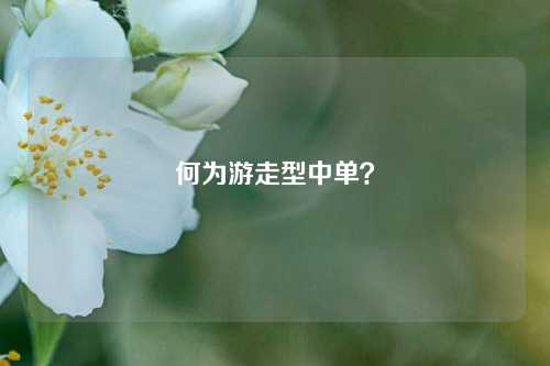 何为游走型中单？