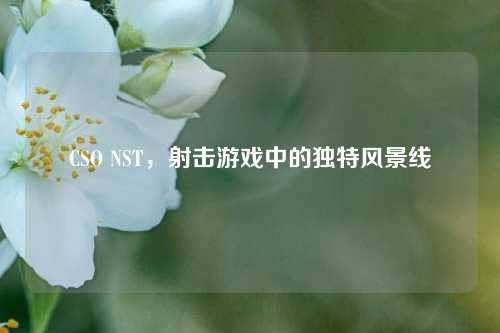 CSO NST，射击游戏中的独特风景线