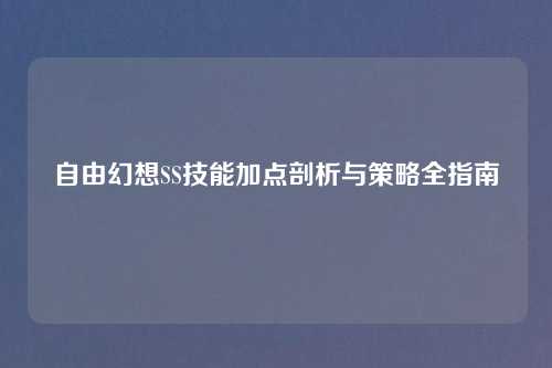 自由幻想SS技能加点剖析与策略全指南