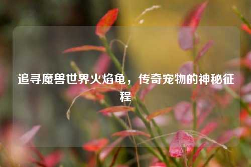 追寻魔兽世界火焰龟，传奇宠物的神秘征程