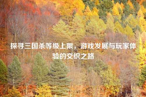 探寻三国杀等级上限，游戏发展与玩家体验的交织之路