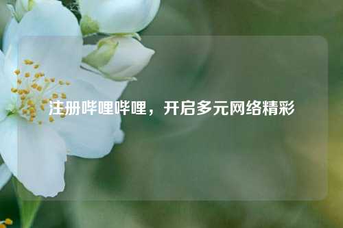 注册哔哩哔哩，开启多元网络精彩