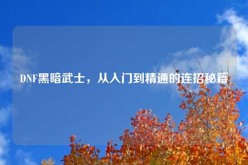 DNF黑暗武士，从入门到精通的连招秘籍