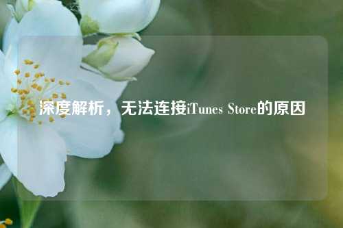 深度解析，无法连接iTunes Store的原因