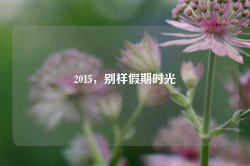 2015，别样假期时光