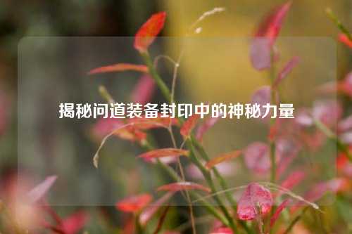 揭秘问道装备封印中的神秘力量