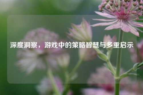深度洞察，游戏中的策略智慧与多重启示