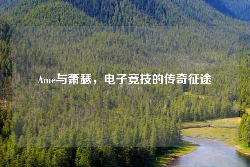 Ame与萧瑟，电子竞技的传奇征途