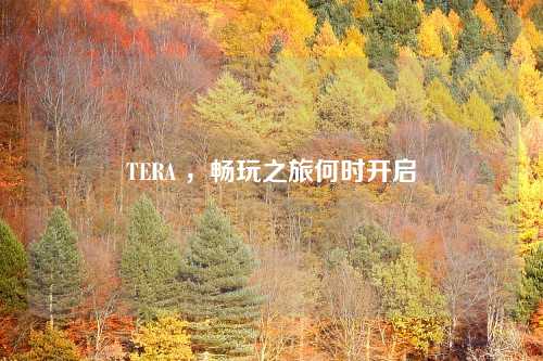 TERA ，畅玩之旅何时开启