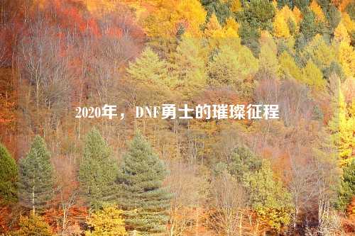 2020年，DNF勇士的璀璨征程