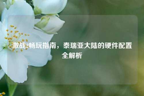 激战2畅玩指南，泰瑞亚大陆的硬件配置全解析
