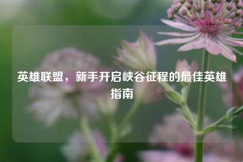 英雄联盟，新手开启峡谷征程的最佳英雄指南