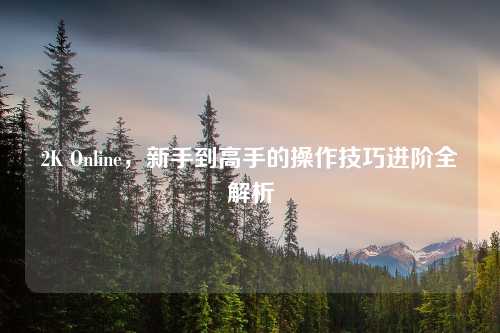 2K Online，新手到高手的操作技巧进阶全解析
