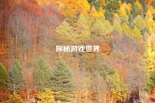 探秘游戏世界
