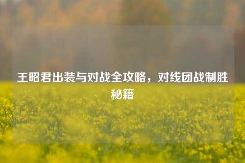 王昭君出装与对战全攻略，对线团战制胜秘籍