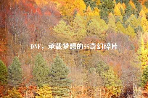 DNF，承载梦想的SS奇幻碎片