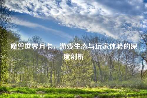 魔兽世界月卡，游戏生态与玩家体验的深度剖析