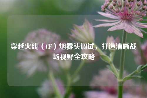 穿越火线（CF）烟雾头调试，打造清晰战场视野全攻略
