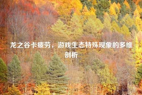 龙之谷卡疲劳，游戏生态特殊现象的多维剖析