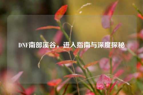 DNF南部溪谷，进入指南与深度探秘