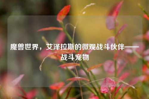 魔兽世界,艾泽拉斯的微观战斗伙伴——战斗宠物 魔兽世界,艾泽拉斯的微观战斗伙伴——战斗宠物