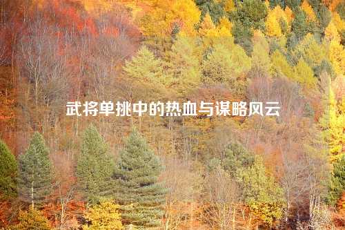 武将单挑中的热血与谋略风云 武将单挑中的热血与谋略风云