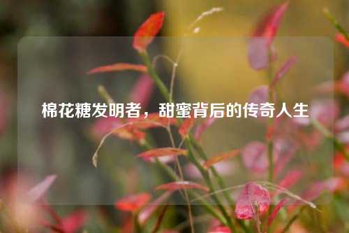 棉花糖发明者,甜蜜背后的传奇人生