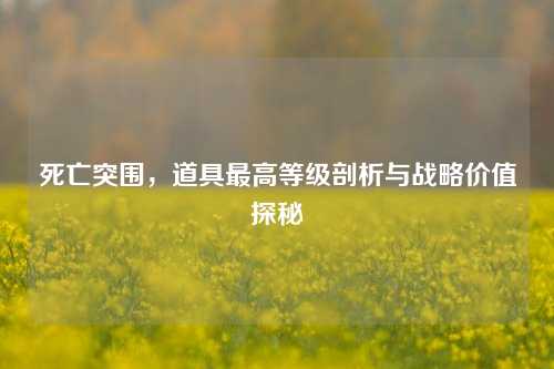 死亡突围,道具最高等级剖析与战略价值探秘 死亡突围,道具最高等级剖析与战略价值探秘