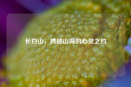 长白山,跨越山海的心灵之约 长白山,跨越山海的心灵之约