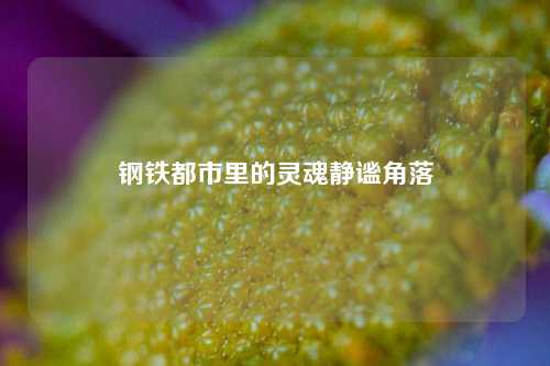 钢铁都市里的灵魂静谧角落 钢铁都市里的灵魂静谧角落