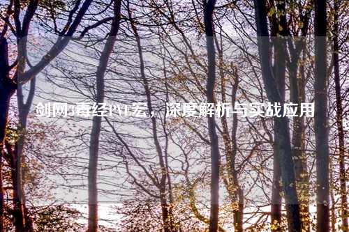 剑网3毒经PVE宏,深度解析与实战应用 剑网3毒经PVE宏,深度解析与实战应用