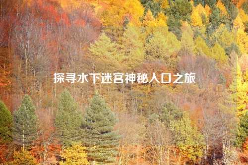 探寻水下迷宫神秘入口之旅 探寻水下迷宫神秘入口之旅