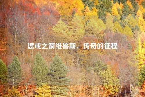 惩戒之箭维鲁斯,传奇的征程 惩戒之箭维鲁斯,传奇的征程