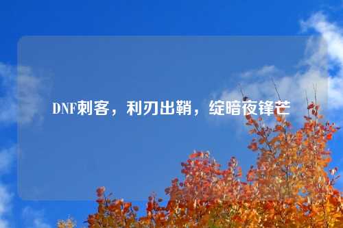 DNF刺客,利刃出鞘,绽暗夜锋芒 DNF刺客,利刃出鞘,绽暗夜锋芒