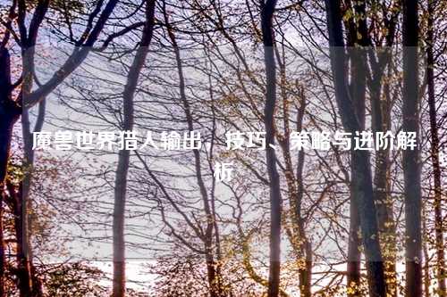 魔兽世界猎人输出，技巧、策略与进阶解析