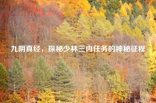 九阴真经,探秘少林三内任务的神秘征程 九阴真经,探秘少林三内任务的神秘征程