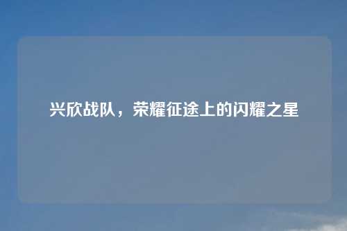 兴欣战队,荣耀征途上的闪耀之星 兴欣战队,荣耀征途上的闪耀之星