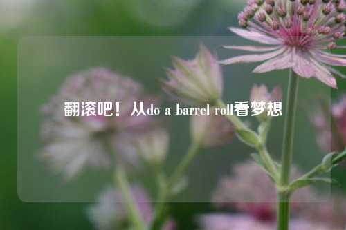 翻滚吧!从do a barrel roll看梦想 翻滚吧!从do a barrel roll看梦想
