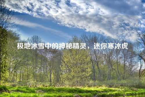 极地冰雪中的神秘精灵，迷你寒冰虎