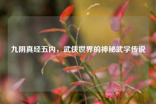 九阴真经五内，武侠世界的神秘武学传说