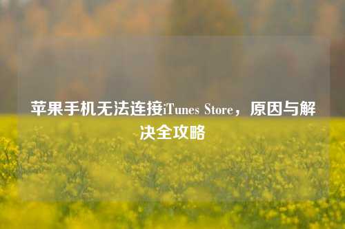 苹果手机无法连接iTunes Store，原因与解决全攻略