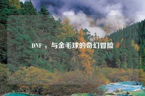 DNF ，与金毛球的奇幻冒险