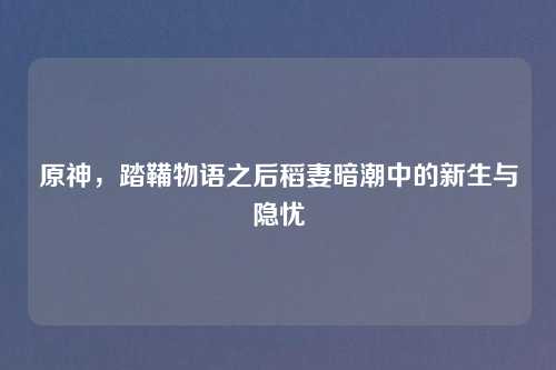 原神，踏鞴物语之后稻妻暗潮中的新生与隐忧