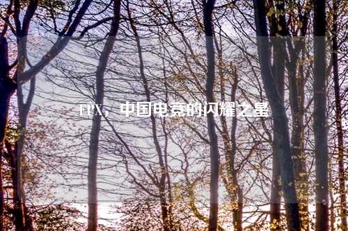 FPX，中国电竞的闪耀之星
