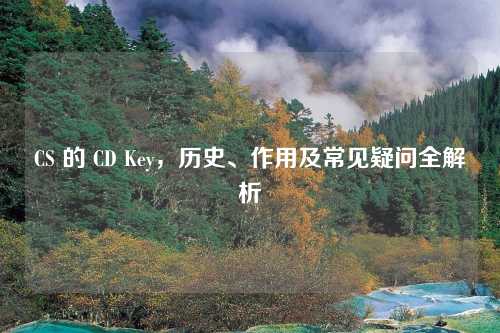 CS 的 CD Key，历史、作用及常见疑问全解析