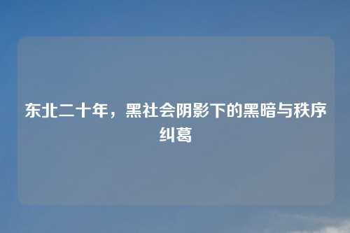 东北二十年，黑社会阴影下的黑暗与秩序纠葛