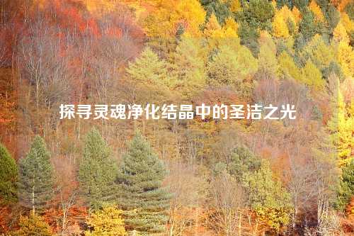 探寻灵魂净化结晶中的圣洁之光