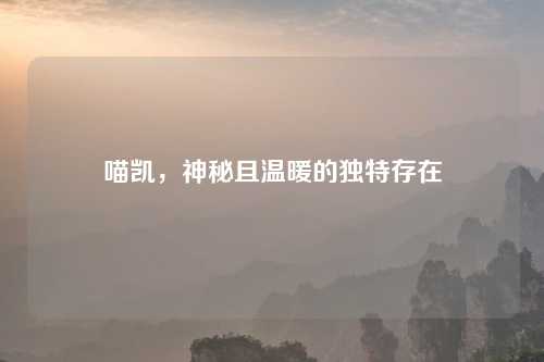 喵凯，神秘且温暖的独特存在