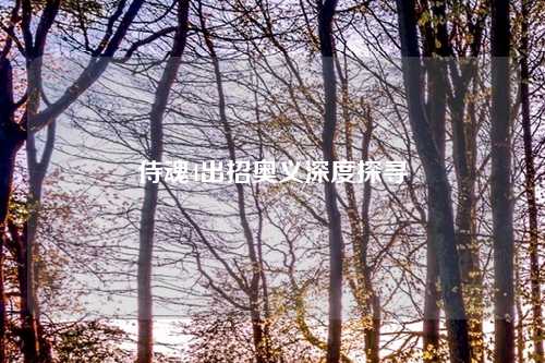 侍魂4出招奥义深度探寻