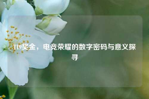 TI9奖金,电竞荣耀的数字密码与意义探寻